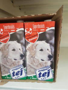 20230116_145336 Kopie Kuvasz auf der Milchpackung