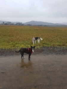 20230119_121401 Kopie Regenspaziergang