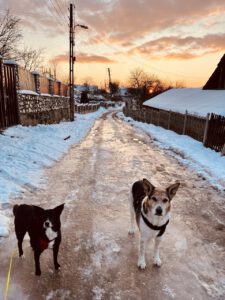 Karpathen Abendspaziergang in Hondol